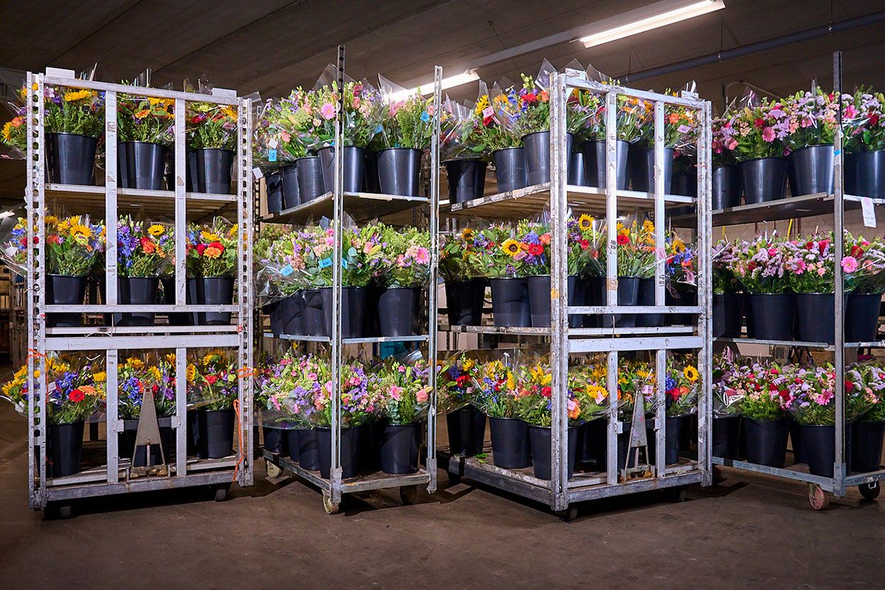 Direct Flower Solutions from grower to you smart logistics