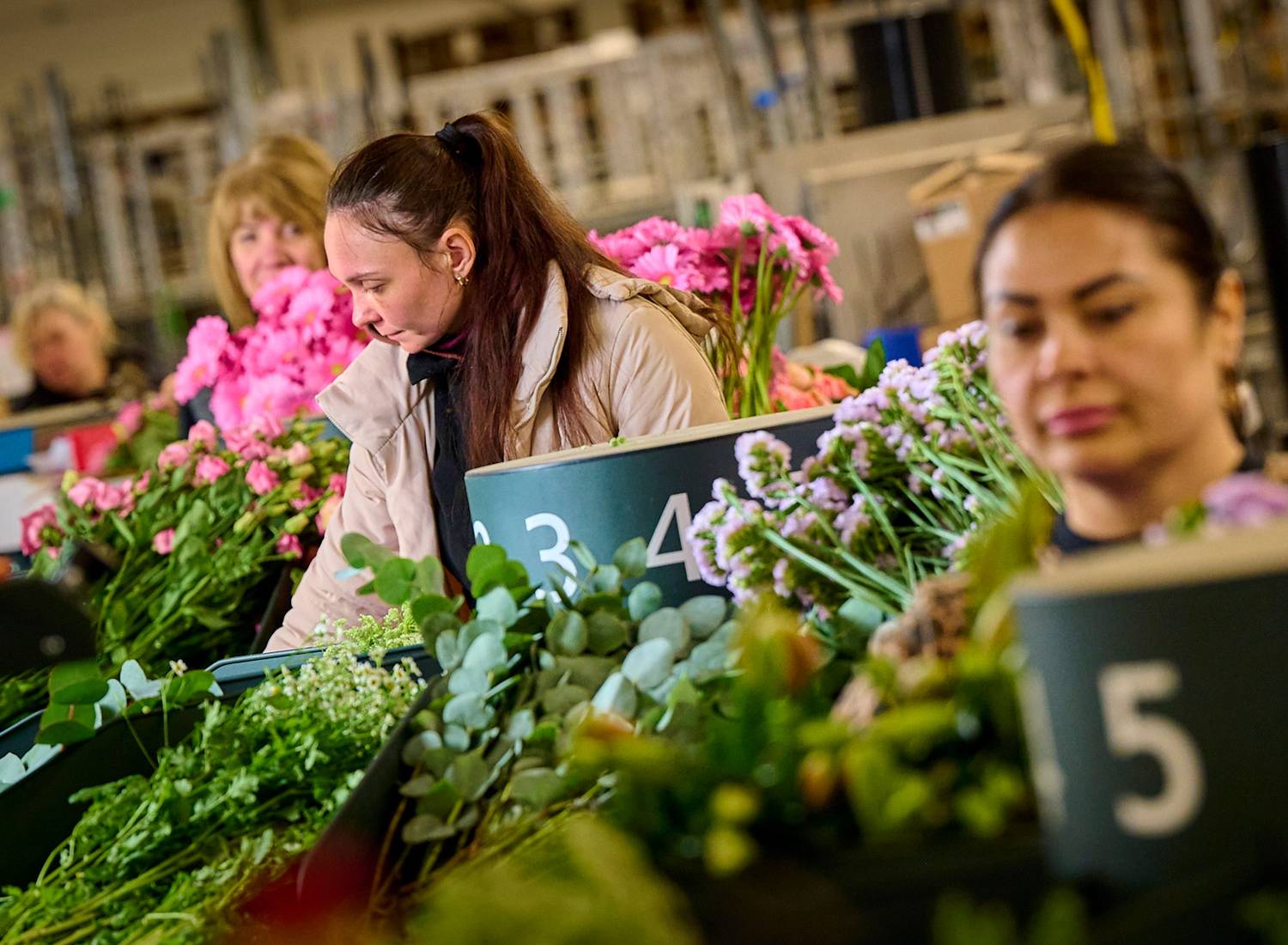 Direct Flower Solutions why choose us?